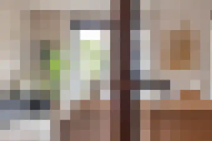 Fonteinkruid 38 Meppel thumbnail 6