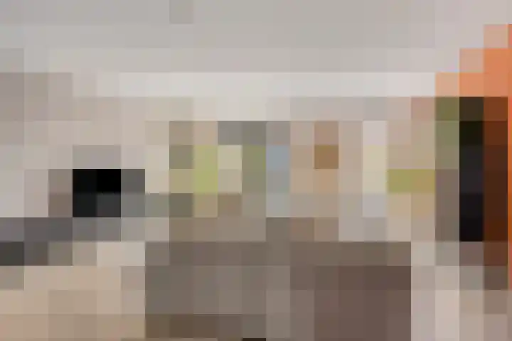 Fonteinkruid 38 Meppel thumbnail 7