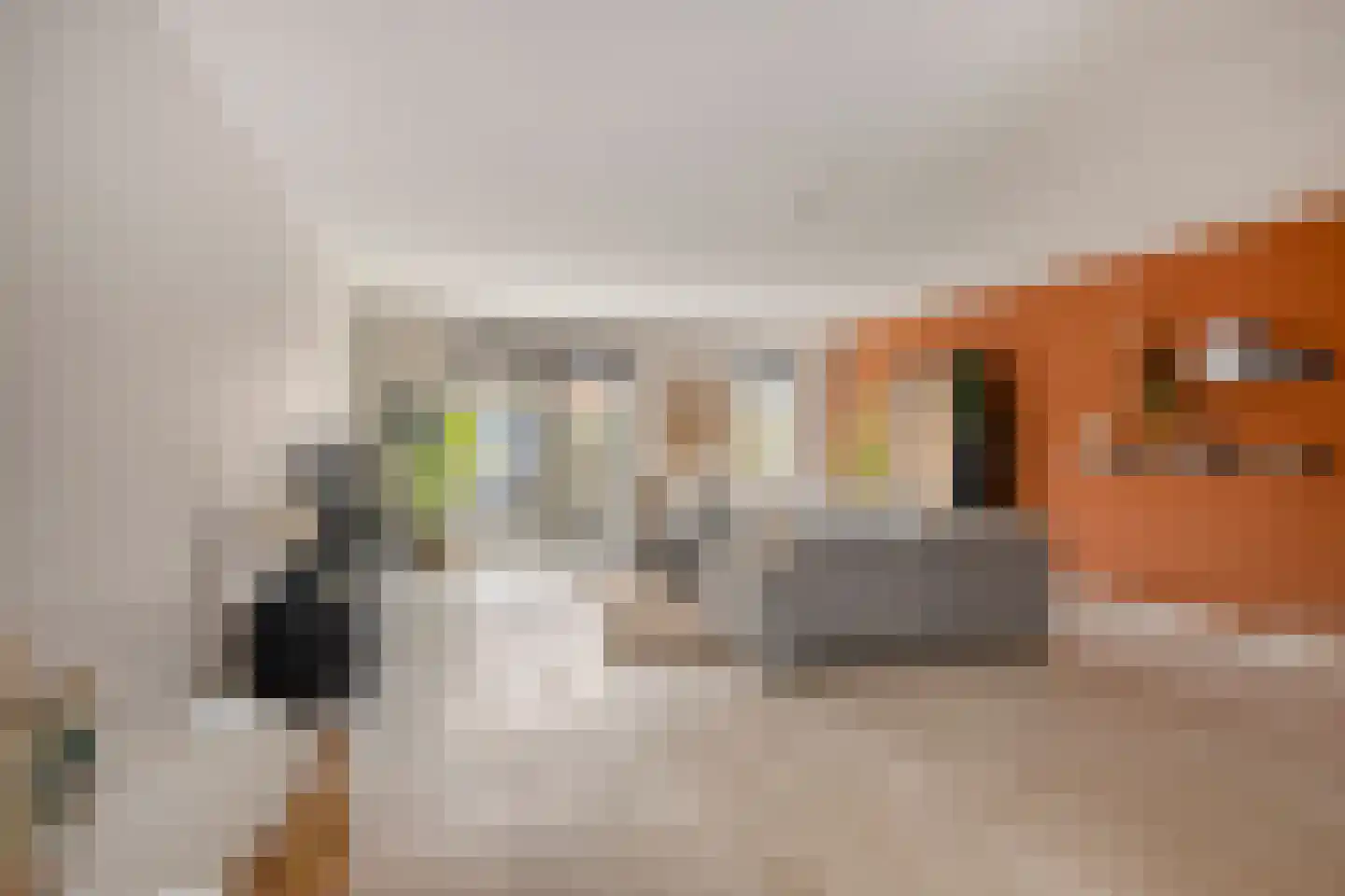 Fonteinkruid 38 Meppel thumbnail 8