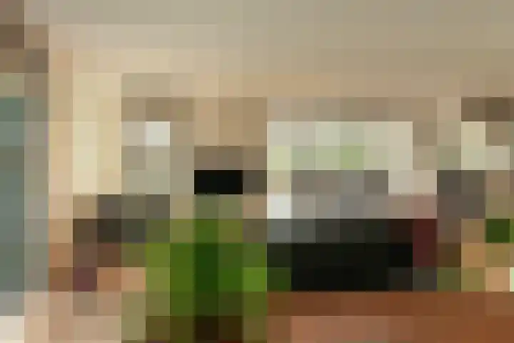 Fonteinkruid 39 Heerenveen thumbnail 11
