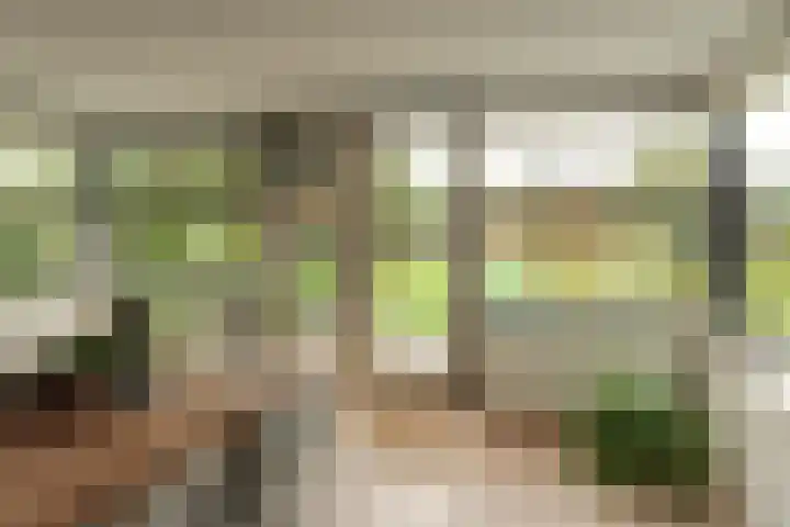 Fonteinkruid 39 Heerenveen thumbnail 14