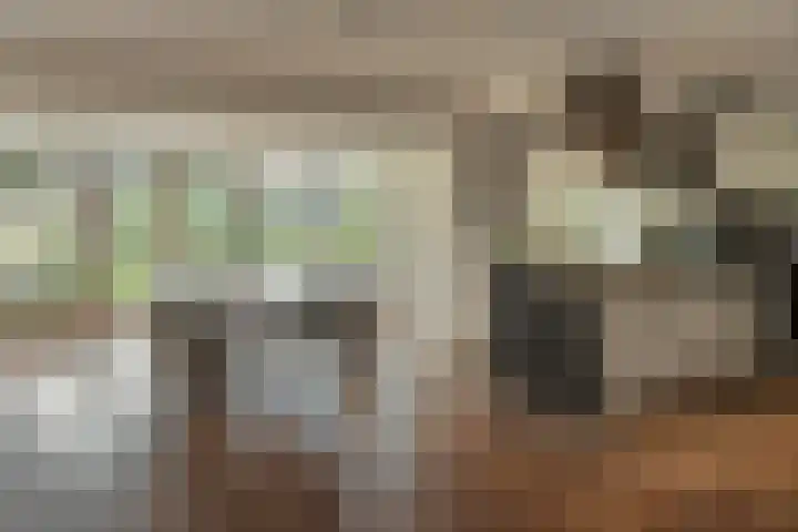 Fonteinkruid 39 Heerenveen thumbnail 15