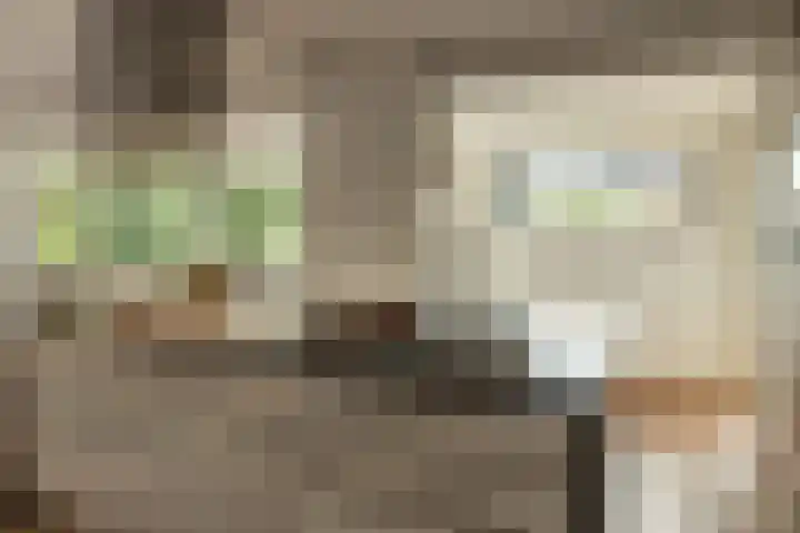 Fonteinkruid 39 Heerenveen thumbnail 18