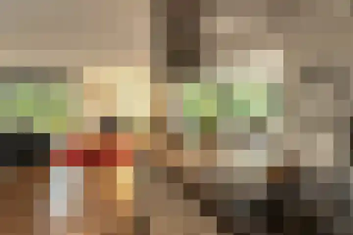 Fonteinkruid 39 Heerenveen thumbnail 19