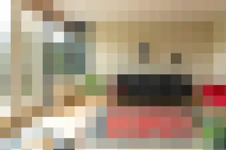 Fonteinkruid 39 Heerenveen thumbnail 22