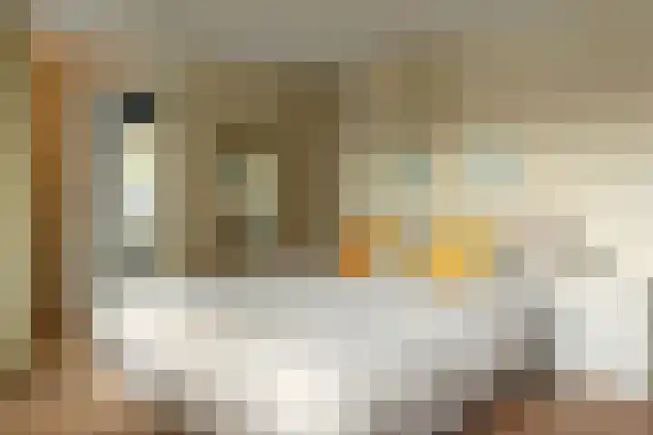 Fonteinkruid 39 Heerenveen thumbnail 34