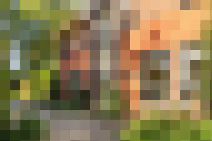 Fonteinkruid 39 Heerenveen thumbnail 38