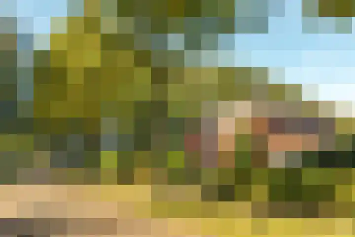 Fonteinkruid 39 Heerenveen thumbnail 40