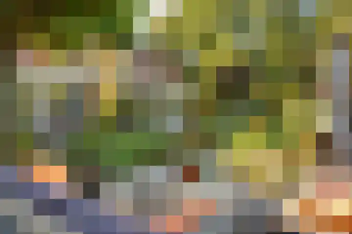 Fonteinkruid 39 Heerenveen thumbnail 41