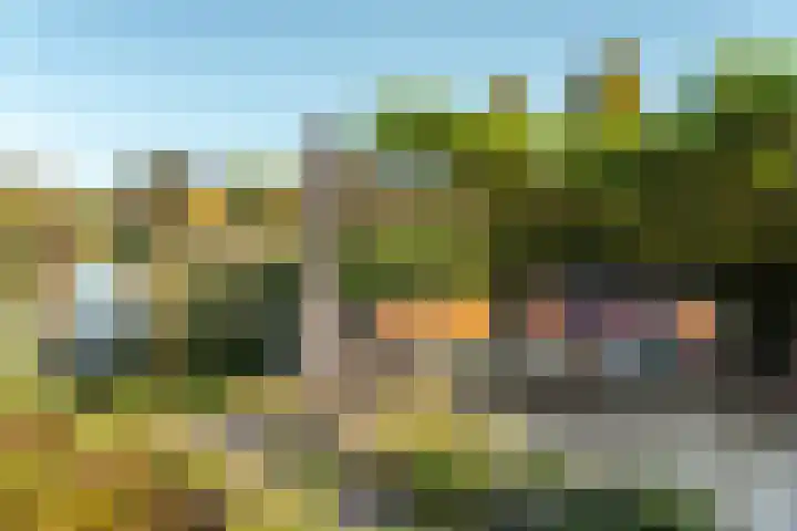 Fonteinkruid 39 Heerenveen thumbnail 42