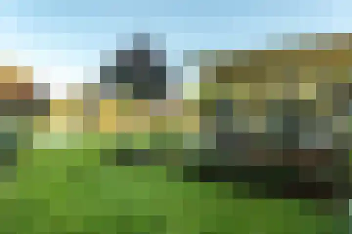 Fonteinkruid 39 Heerenveen thumbnail 43