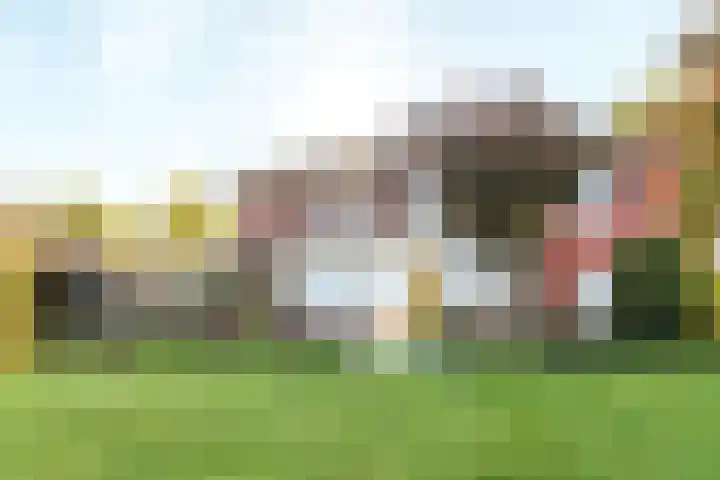 Fonteinkruid 39 Heerenveen thumbnail 44