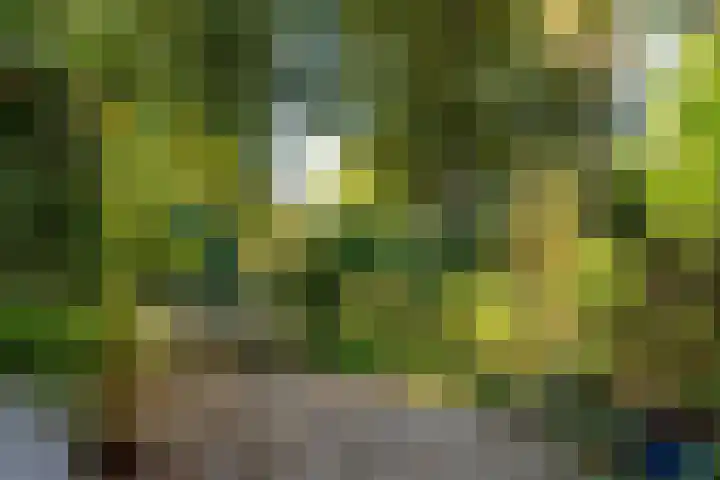 Fonteinkruid 39 Heerenveen thumbnail 45