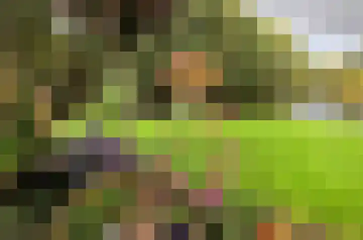 Fonteinkruid 39 Heerenveen thumbnail 50