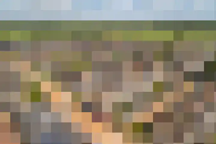 Fonteinkruid 39 Kockengen thumbnail 38