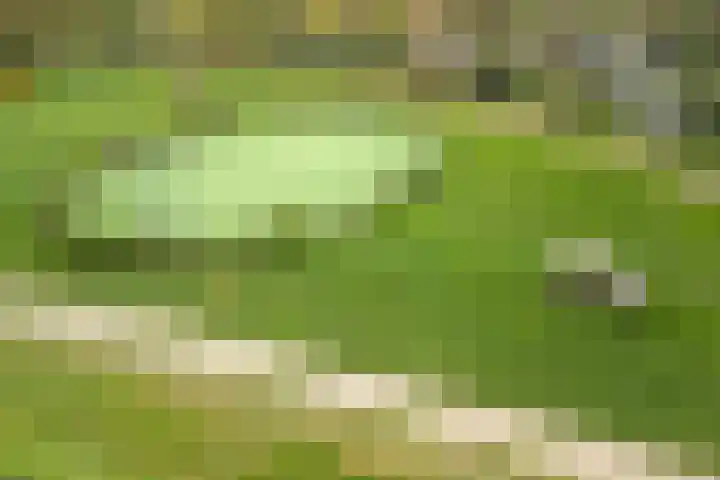Fonteinkruid 39 Kockengen thumbnail 41