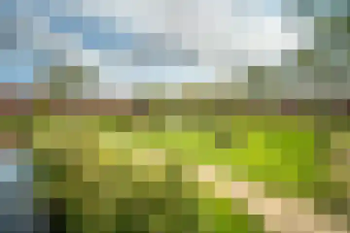 Fonteinkruid 39 Kockengen thumbnail 43