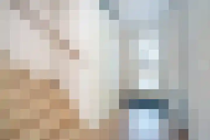 Fonteinkruid 39 Kockengen thumbnail 6