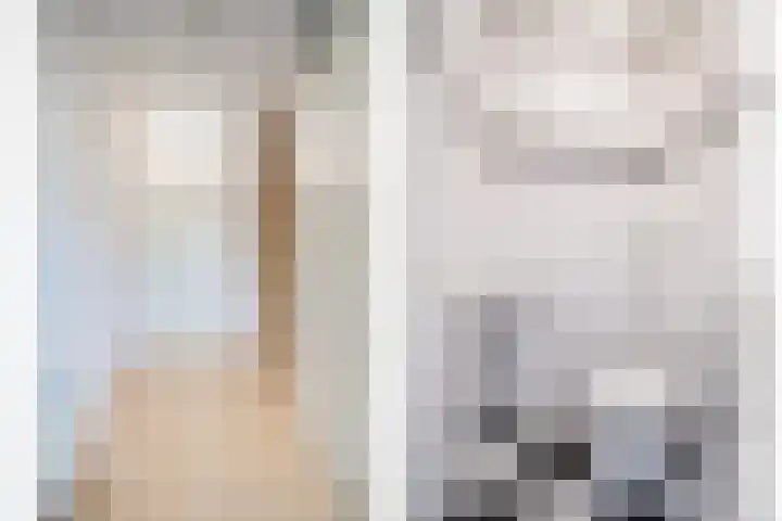 Fonteinkruid 39 Kockengen thumbnail 7