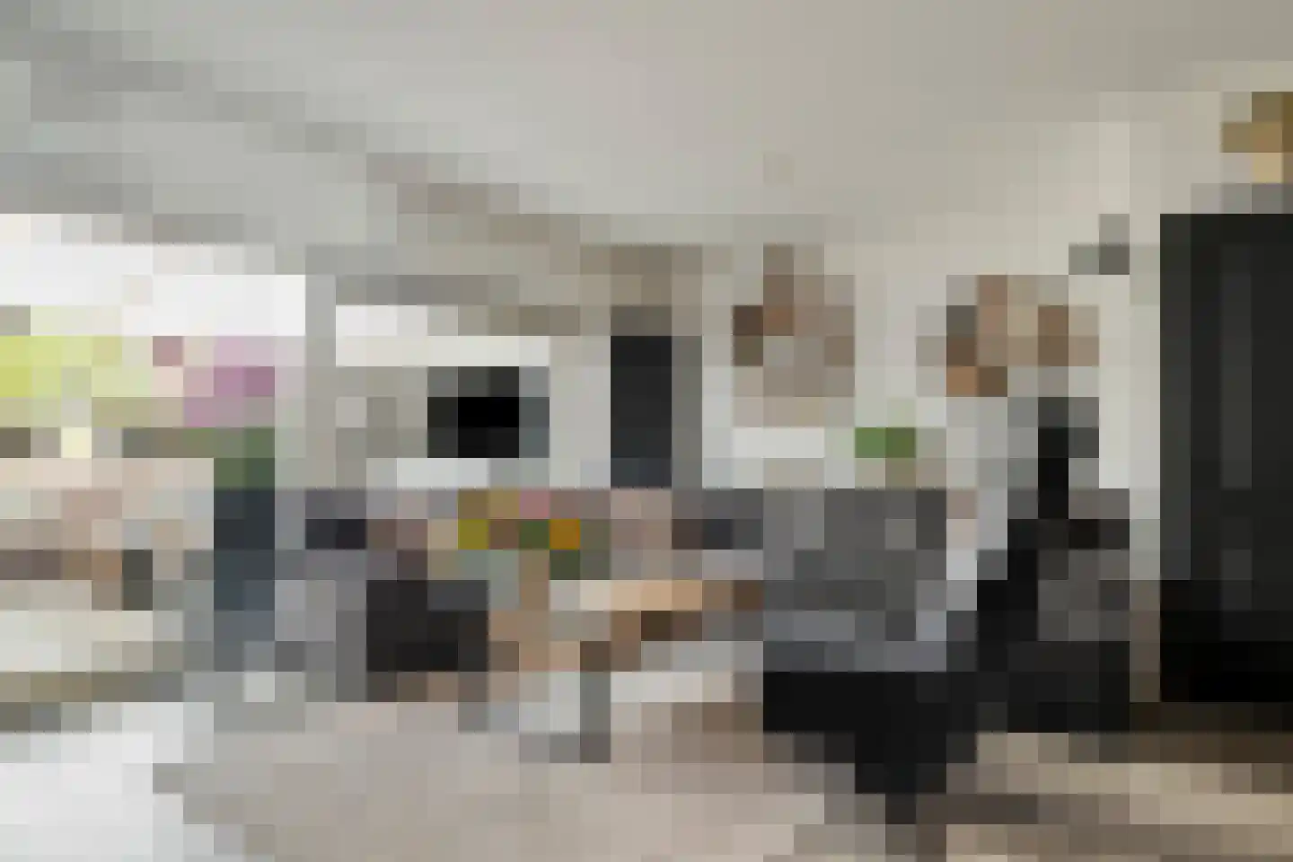 Fonteinkruid 40 Purmerend thumbnail 13