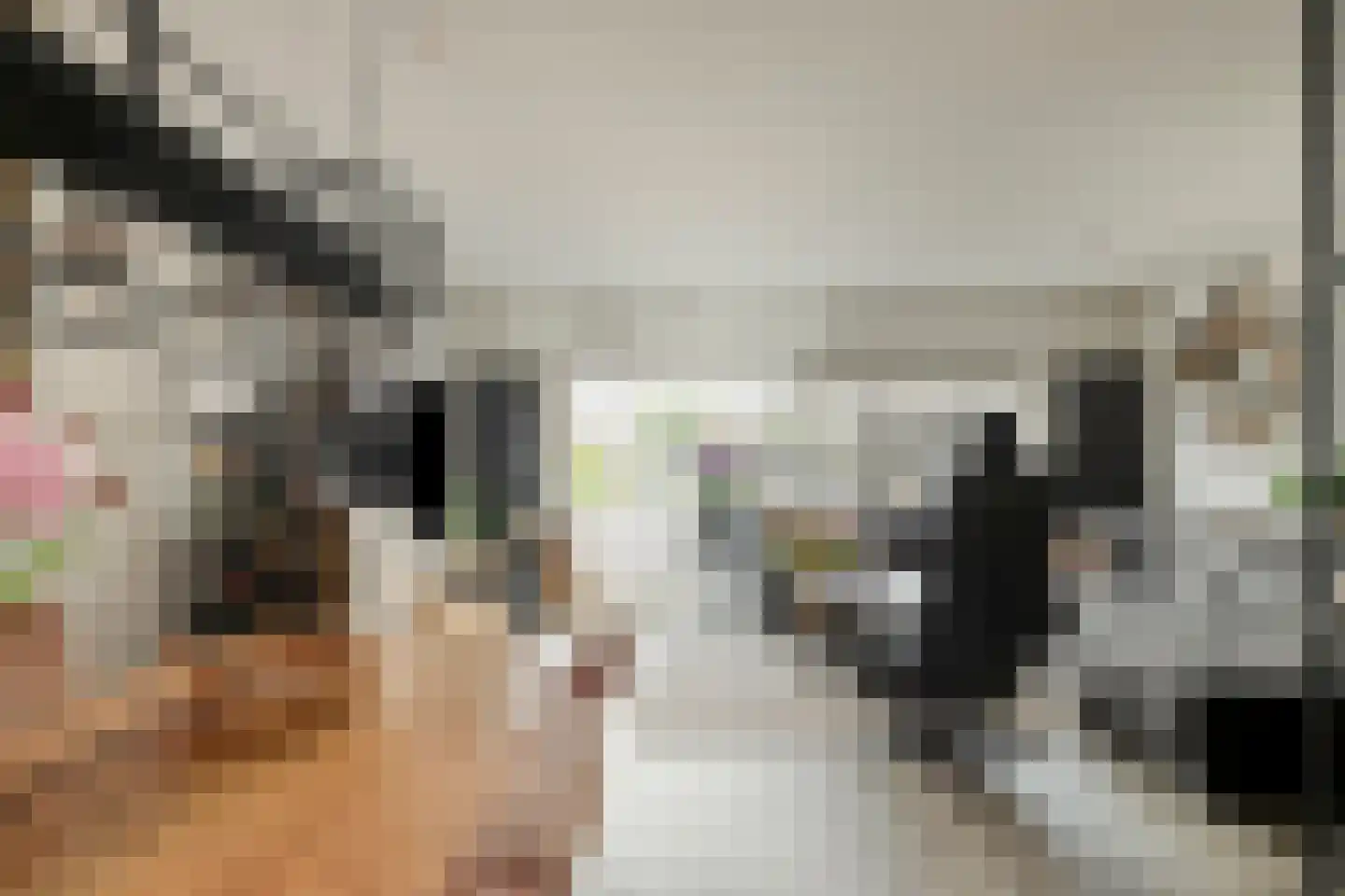 Fonteinkruid 40 Purmerend thumbnail 16