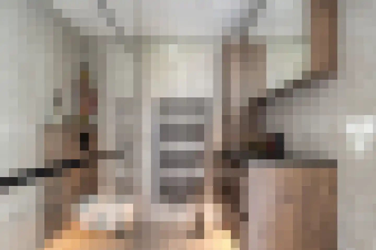 Fonteinkruid 40 Purmerend thumbnail 24