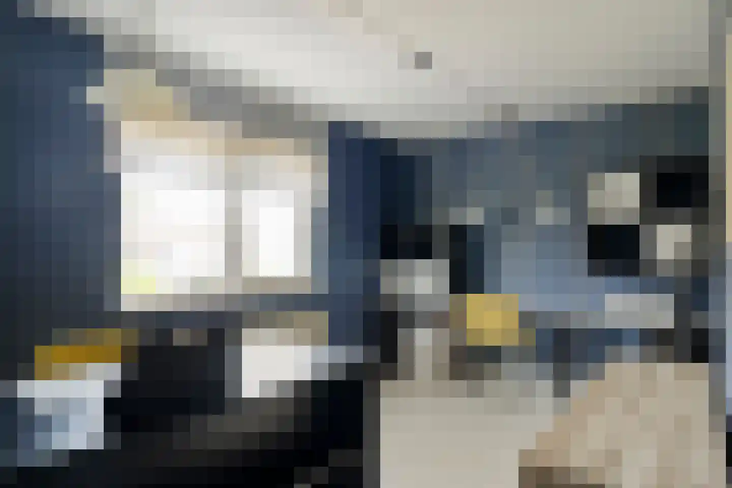 Fonteinkruid 40 Purmerend thumbnail 25