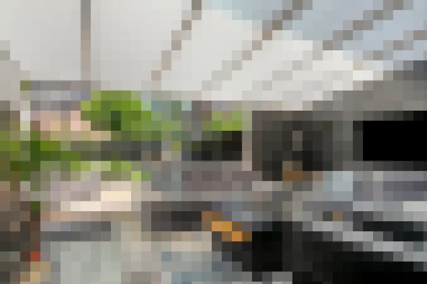 Fonteinkruid 40 Purmerend thumbnail 32