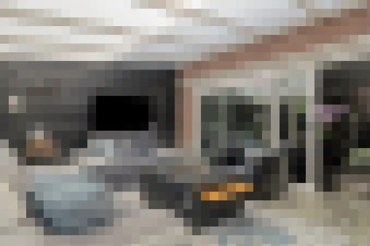 Fonteinkruid 40 Purmerend thumbnail 33