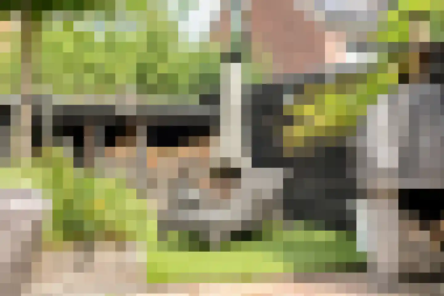 Fonteinkruid 40 Purmerend thumbnail 35