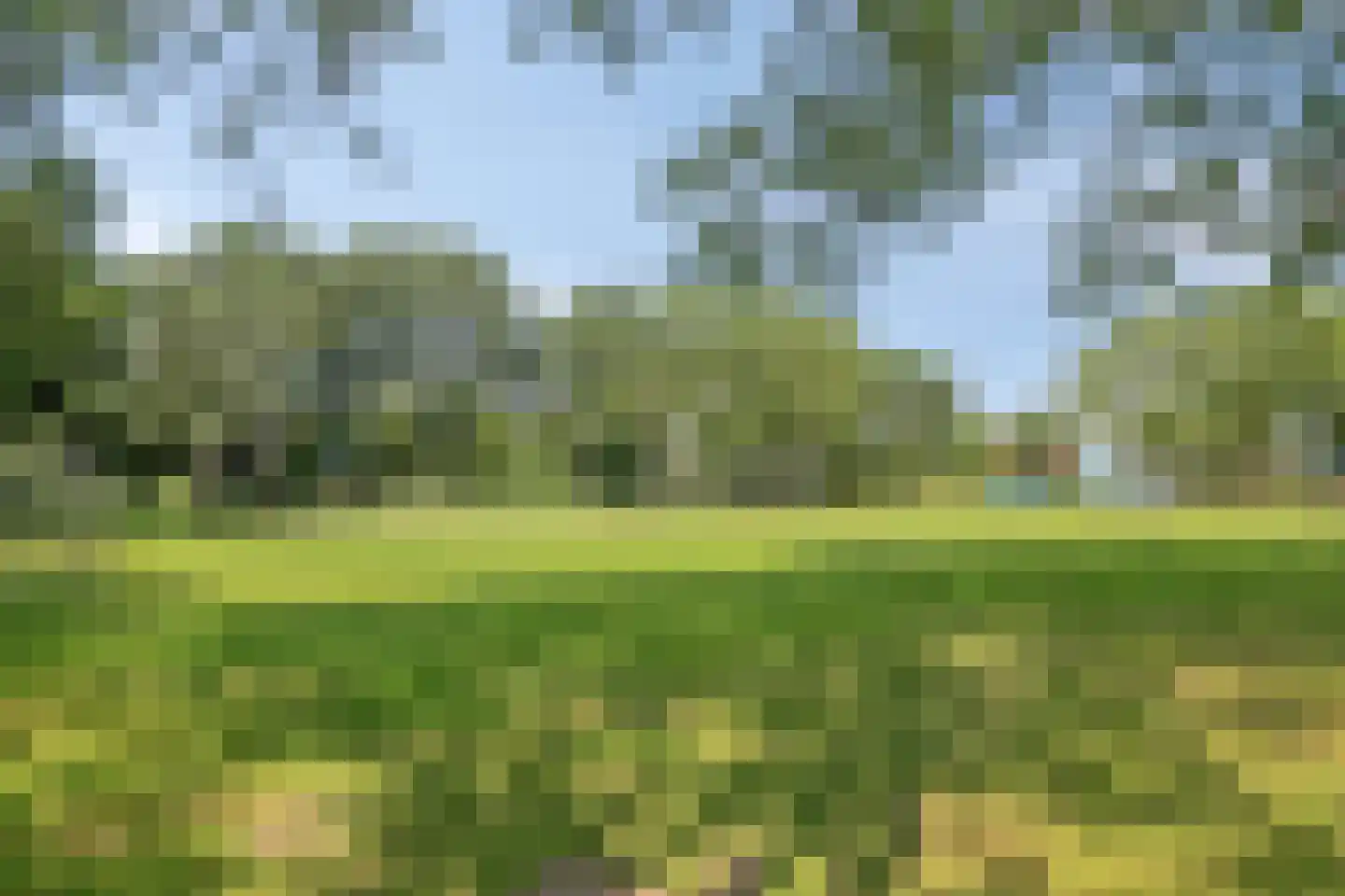 Fonteinkruid 40 Purmerend thumbnail 41