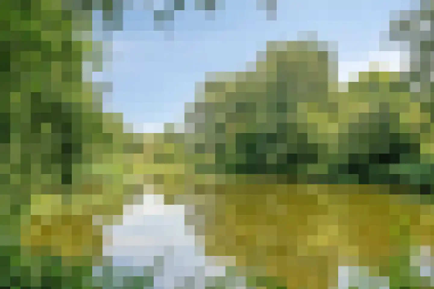 Fonteinkruid 40 Purmerend thumbnail 42