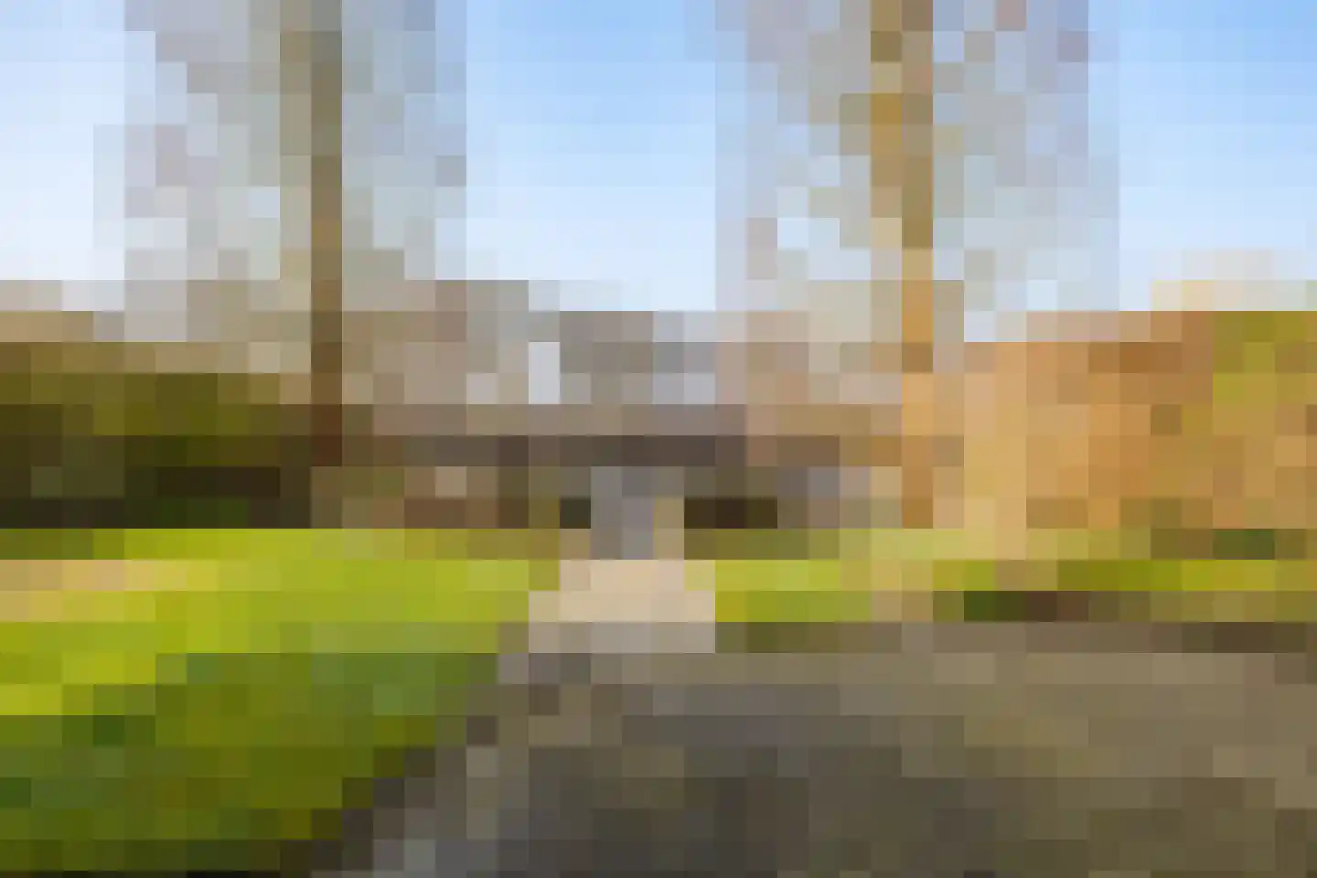 Fonteinkruid 45 Heerenveen thumbnail 43