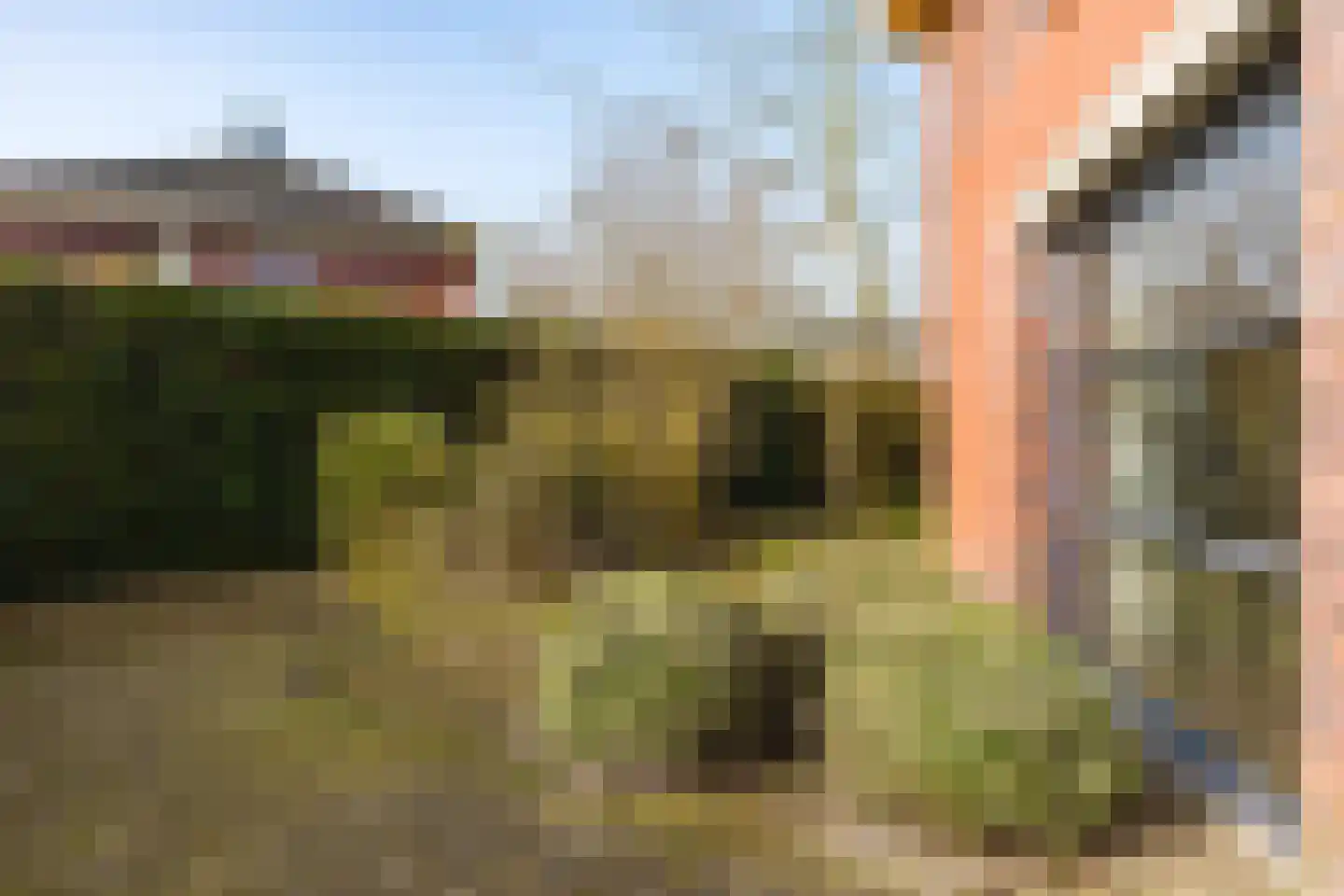 Fonteinkruid 45 Heerenveen thumbnail 45