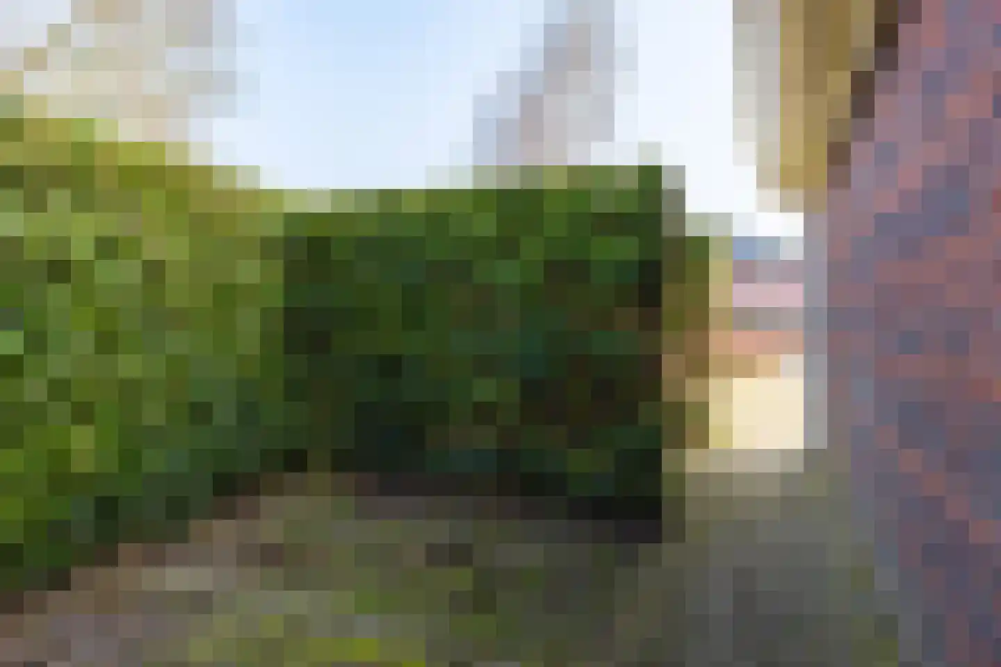 Fonteinkruid 45 Heerenveen thumbnail 47