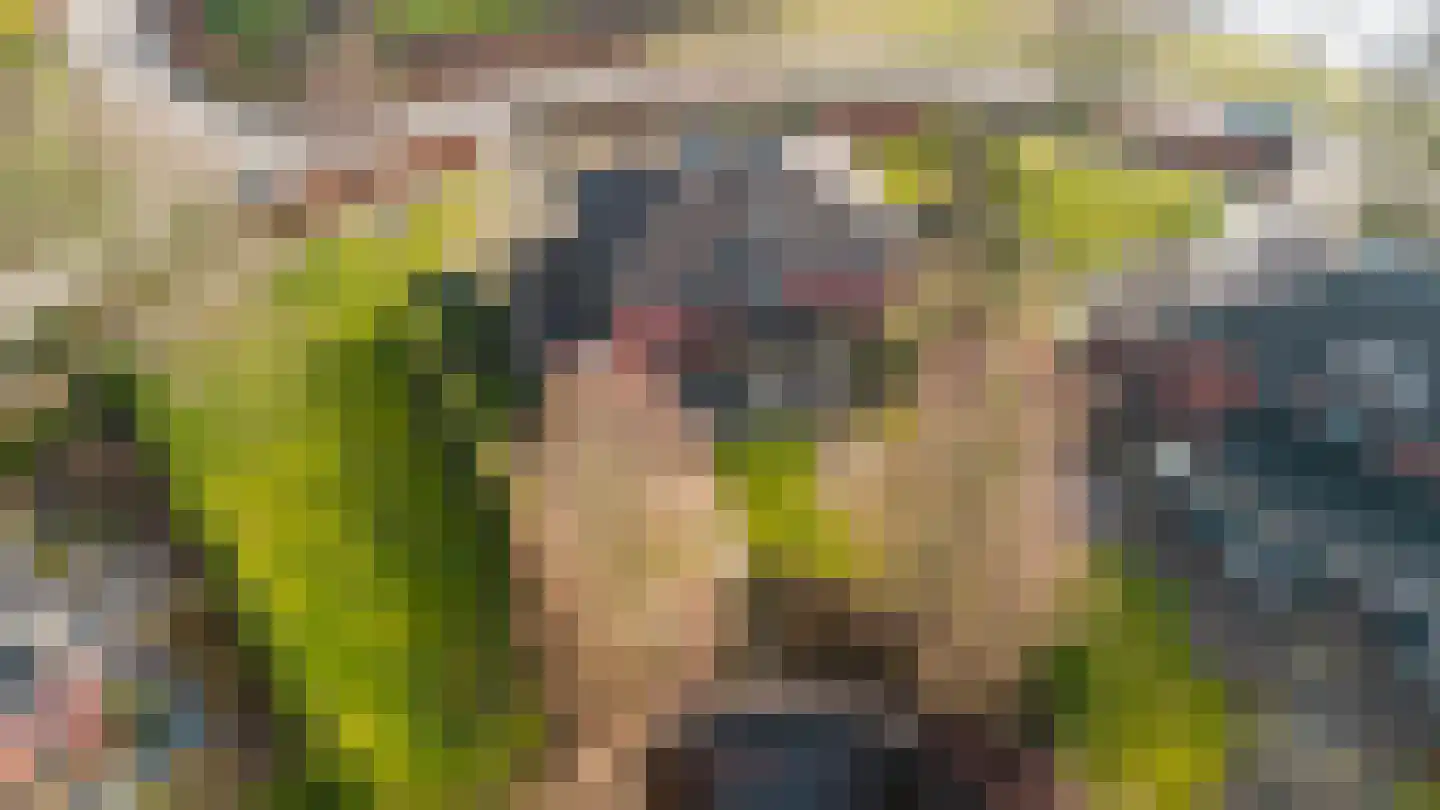 Fonteinkruid 45 Heerenveen thumbnail 49