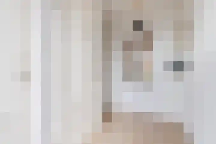 Fonteinkruid 5 Oudkarspel thumbnail 13