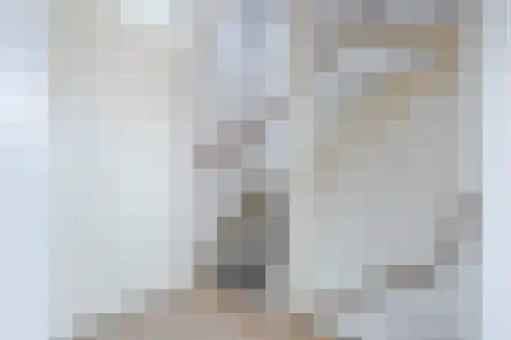 Fonteinkruid 5 Oudkarspel thumbnail 24