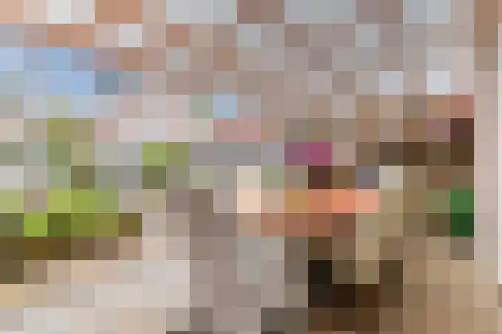Fonteinkruid 5 Oudkarspel thumbnail 30