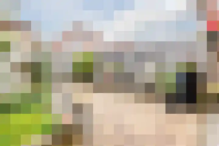 Fonteinkruid 5 Oudkarspel thumbnail 33
