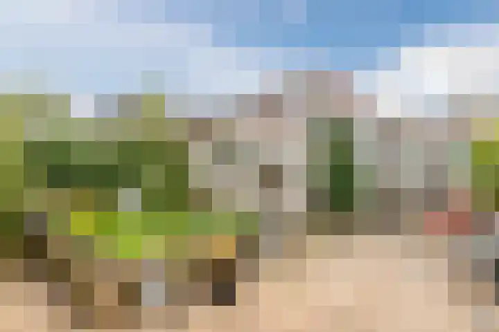 Fonteinkruid 5 Oudkarspel thumbnail 34
