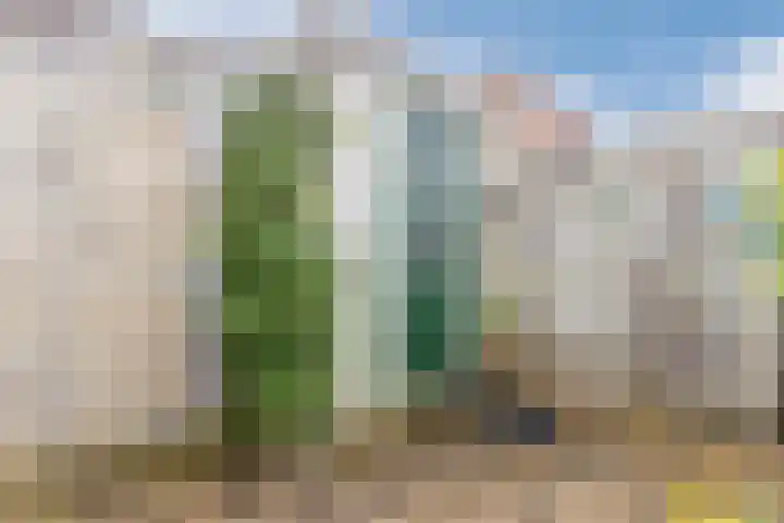 Fonteinkruid 5 Oudkarspel thumbnail 35