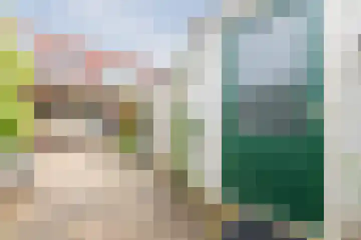Fonteinkruid 5 Oudkarspel thumbnail 36