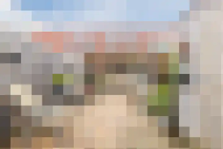 Fonteinkruid 5 Oudkarspel thumbnail 37