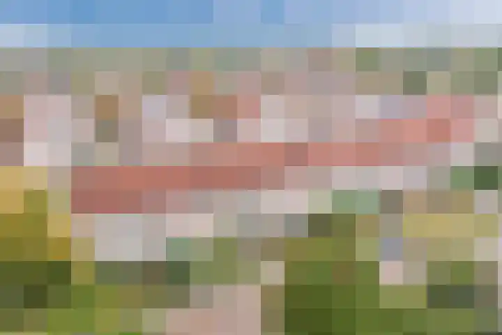 Fonteinkruid 5 Oudkarspel thumbnail 39
