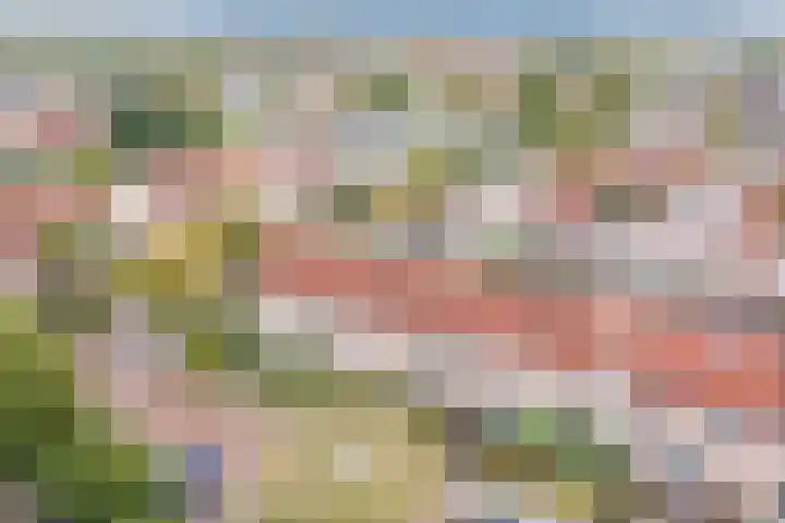 Fonteinkruid 5 Oudkarspel thumbnail 40