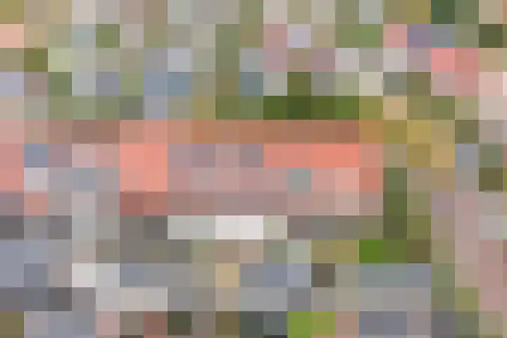 Fonteinkruid 5 Oudkarspel thumbnail 41