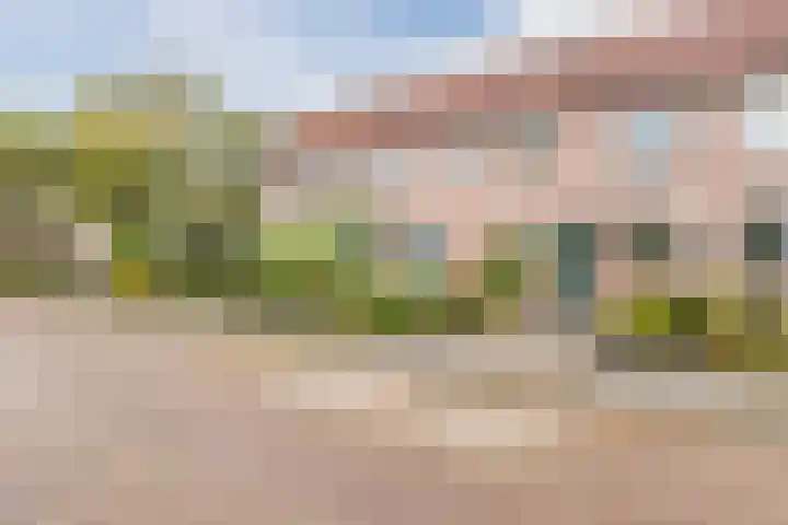 Fonteinkruid 5 Oudkarspel thumbnail 42