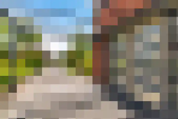 Fonteinkruid 50 Heerenveen thumbnail 11