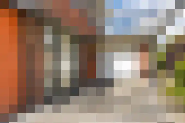 Fonteinkruid 50 Heerenveen thumbnail 12